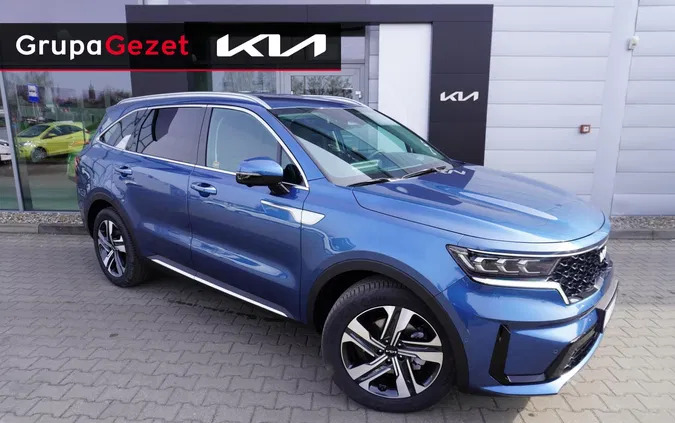 lubuskie Kia Sorento cena 239900 przebieg: 5, rok produkcji 2024 z Kłecko